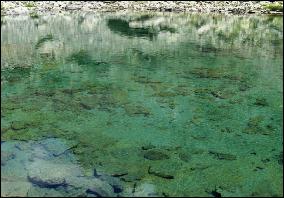 MircoBonacorsi003a